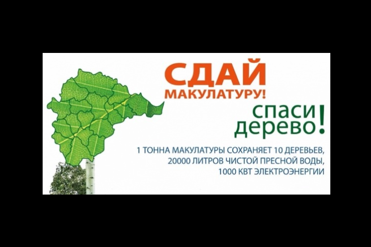 В Уфе за вывоз макулатуры дарят семена деревьев