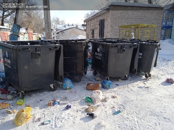 В "Эко-Сити" пояснили жителям Стерлитамака, почему переполнены мусорные контейнеры мусор 2.jpg2