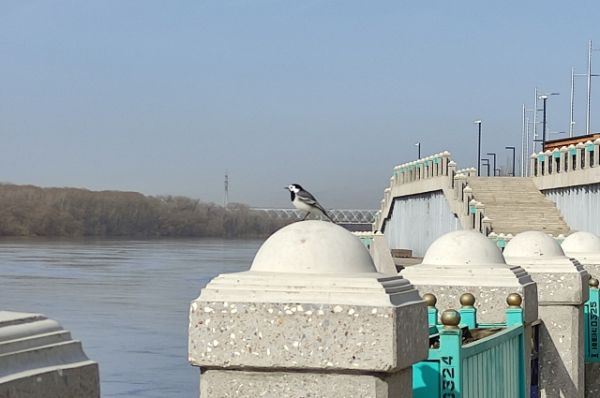 Уфа вошла в десятку лучших для жизни городов России в 2021 году Уфа вошла в десятку лучших для жизни городов России в 2021 году0