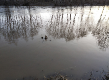 В Стерлитамаке уровень воды в Белой растет, уровни воды в Стерле и Ашкадаре снижаются В Стерлитамаке уровень воды в Белой растет, уровни воды в Стерле и Ашкадаре снижаются 0
