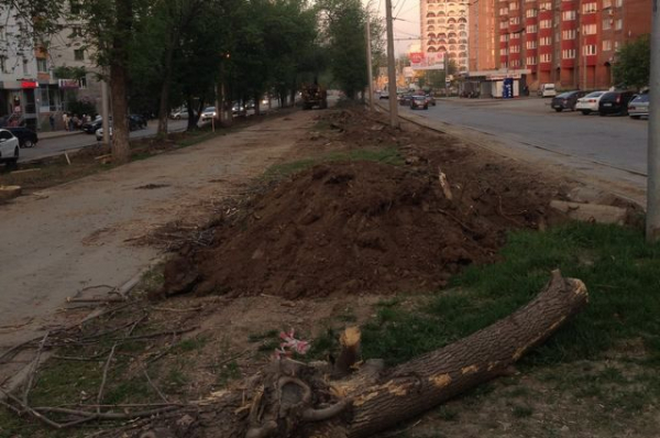 Мэрия Уфы сообщила, посадят ли деревья после массовой вырубки на Ибрагимова Мэрия Уфы сообщила, посадят ли деревья после массовой вырубки на Ибрагимова0