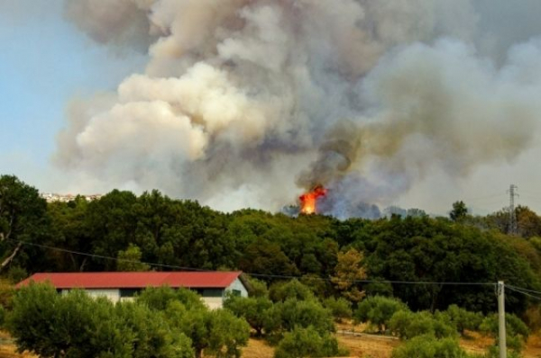 В Башкирии в четыре раза выросло число лесных пожаров В Башкирии в четыре раза выросло число лесных пожаров0