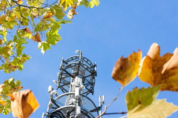 МТС в Уфе увеличила скорость сети LTE до 1,4 Гбит/с МТС в Уфе увеличила скорость сети LTE до 1,4 Гбит/с0