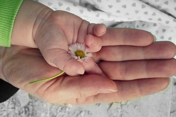 В Башкирии увеличат премии для награжденных медалью «Материнская слава» В Башкирии увеличат премии для награжденных медалью «Материнская слава»0