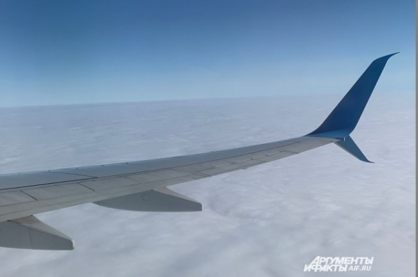 Из Уфы в Ташкент могут открыть прямой авиарейс Из Уфы в Ташкент могут открыть прямой авиарейс0