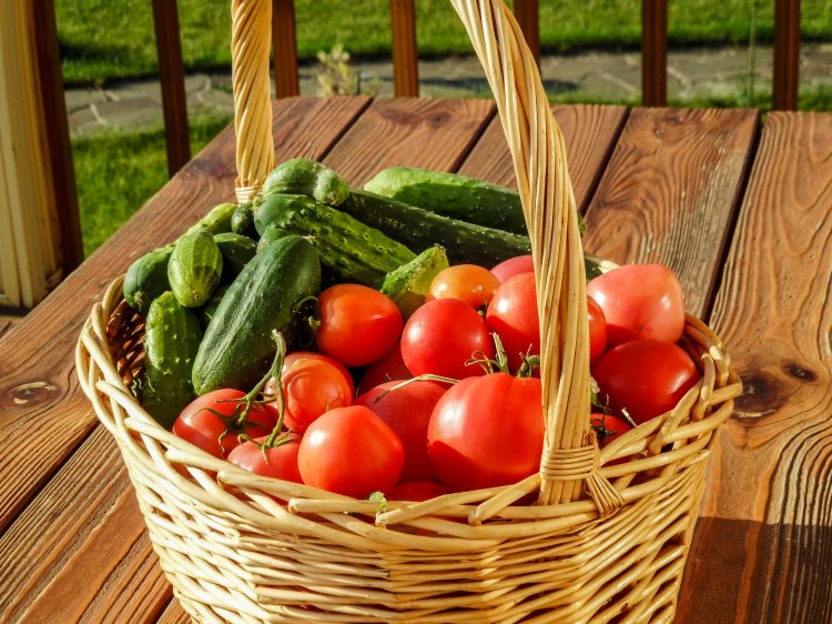 В Башкирии производители экологически чистой продукции получат финансовую господдержку В Башкирии производители экологически чистой продукции получат финансовую господдержку