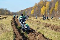 От проекта - до человека Высадка хвойных деревьев на заповедных территориях помогает создать благоприятную среду для их обитателей.