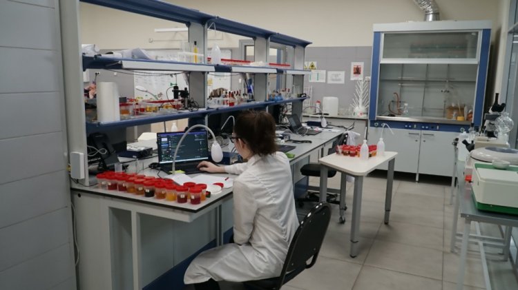 В Башкирии подвели итоги Национальной технологической олимпиады В Башкирии подвели итоги Национальной технологической олимпиады