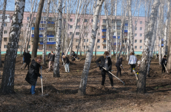 В Стерлитамаке берёзовую рощу на ул.Комарова очистили от мусора В Стерлитамаке берёзовую рощу на ул.Комарова очистили от мусора0