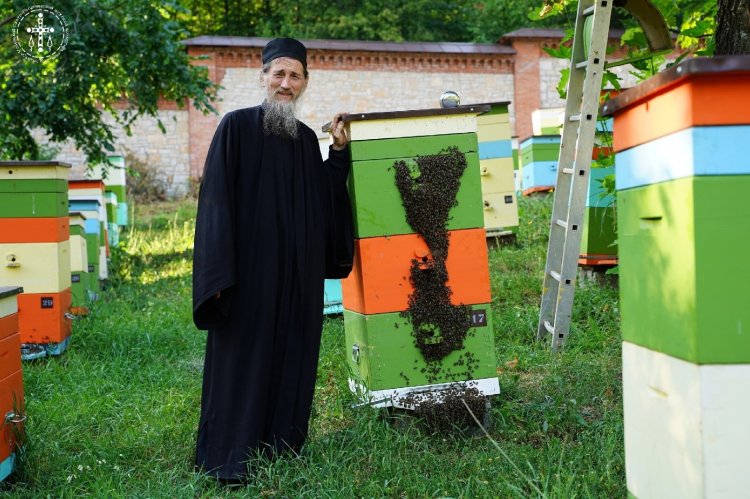 В Башкирии появится волшебный мед, исполняющий желания В Башкирии появится волшебный мед, исполняющий желания