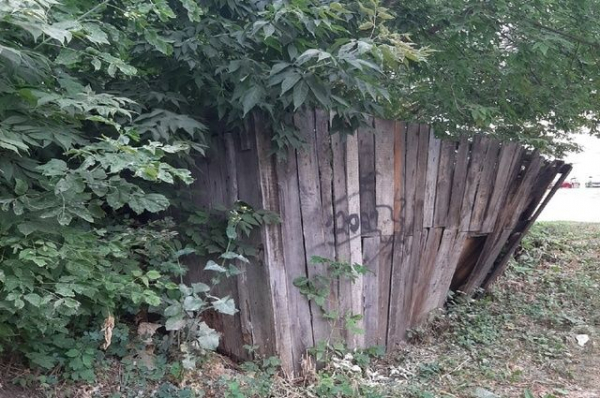 Уфимка пожаловалась на нескошенную траву возле школы и спортклуба Уфимка пожаловалась на нескошенную траву возле школы и спортклуба0