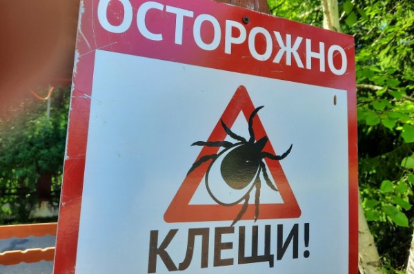 Клещи в Башкирии покусали уже более 3,6 тысячи человек Клещи в Башкирии покусали уже более 3,6 тысячи человек0