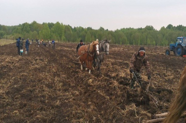 Сельчане Башкирии посадили поле картофеля для участников СВО Сельчане Башкирии посадили поле картофеля для участников СВО0