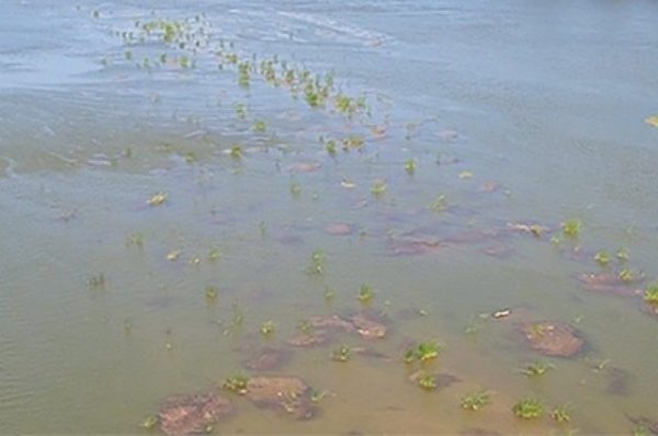 «Водоканал» в Башкирии должен выплатить 4,9 млн за вред реке Белой «Водоканал» в Башкирии должен выплатить 4,9 млн за вред реке Белой0