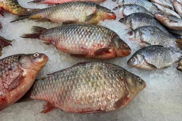 В Башкирии построят комплекс по переработке мяса, рыбы и овощей за 1 млрд В Башкирии построят комплекс по переработке мяса, рыбы и овощей за 1 млрд0