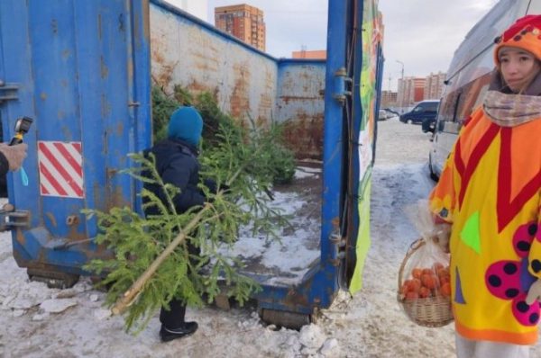 Осталось два дня, когда в Уфе можно сдать елки на переработку Осталось два дня, когда в Уфе можно сдать елки на переработку0