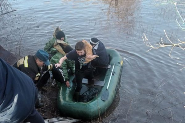Сносит мосты, заливает дома. Башкирия переживает сильнейший паводок В городе Давлеканово талыми водами, которые не успевают уходить, подтопило 8 частных домов. Жителей пришлось эвакуировать.