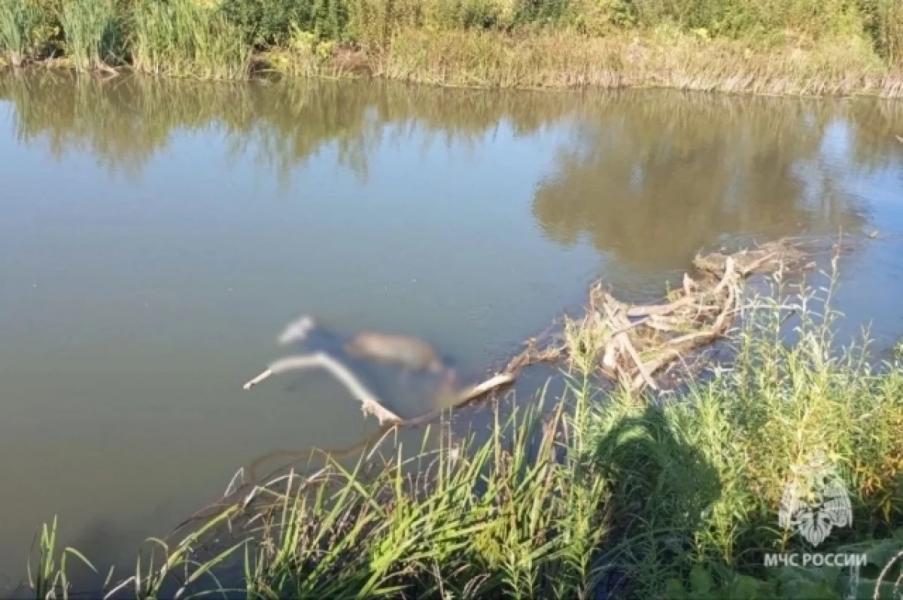 Тела двоих мужчин извлекли из воды за сутки спасатели в Башкирии Тела двоих мужчин извлекли из воды за сутки спасатели в Башкирии0