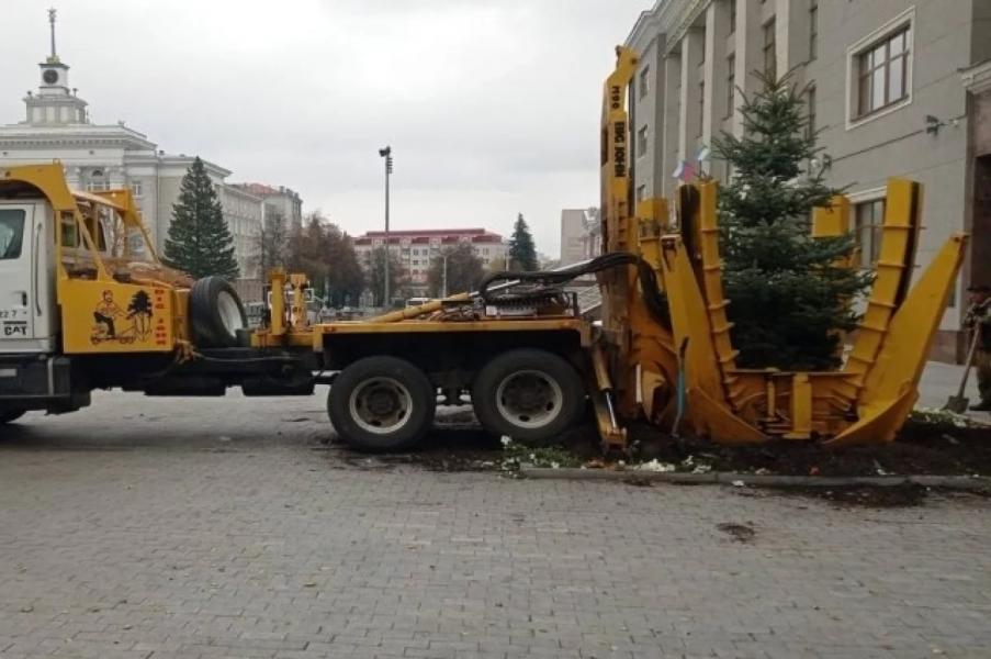На Советской площади в Уфе высадили новые ели На Советской площади в Уфе высадили новые ели0