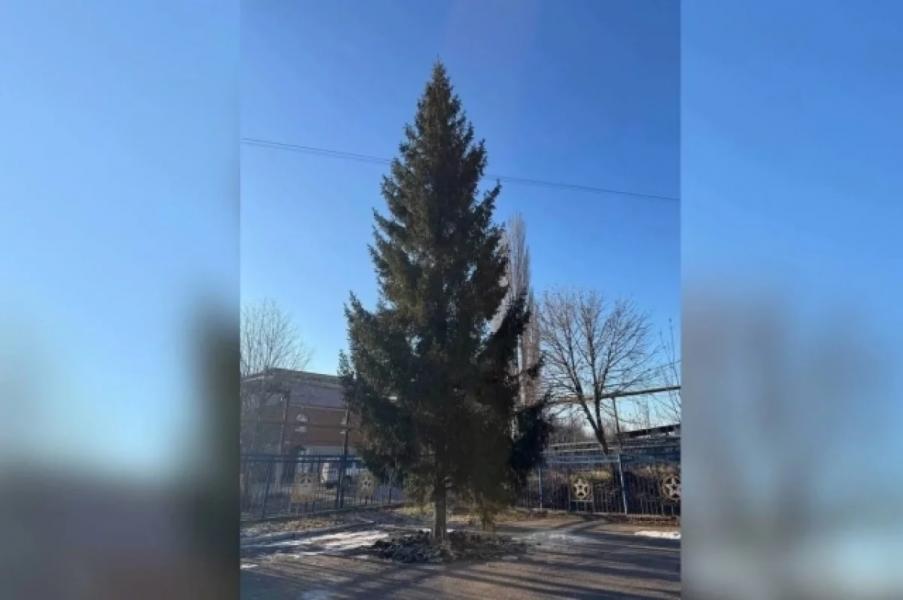В уфимской Нижегородке завершили установку новогодней ели высотой 18 метров В уфимской Нижегородке завершили установку новогодней ели высотой 18 метров0