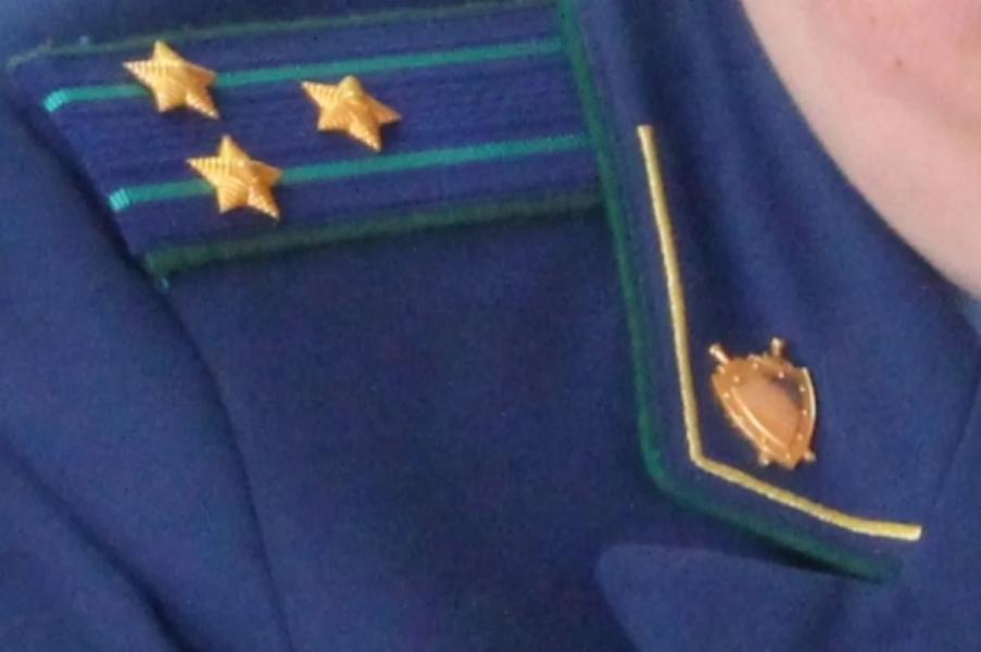 В Башкирии мужчине дали условный срок за кражу лошади и жеребенка В Башкирии мужчине дали условный срок за кражу лошади и жеребенка0
