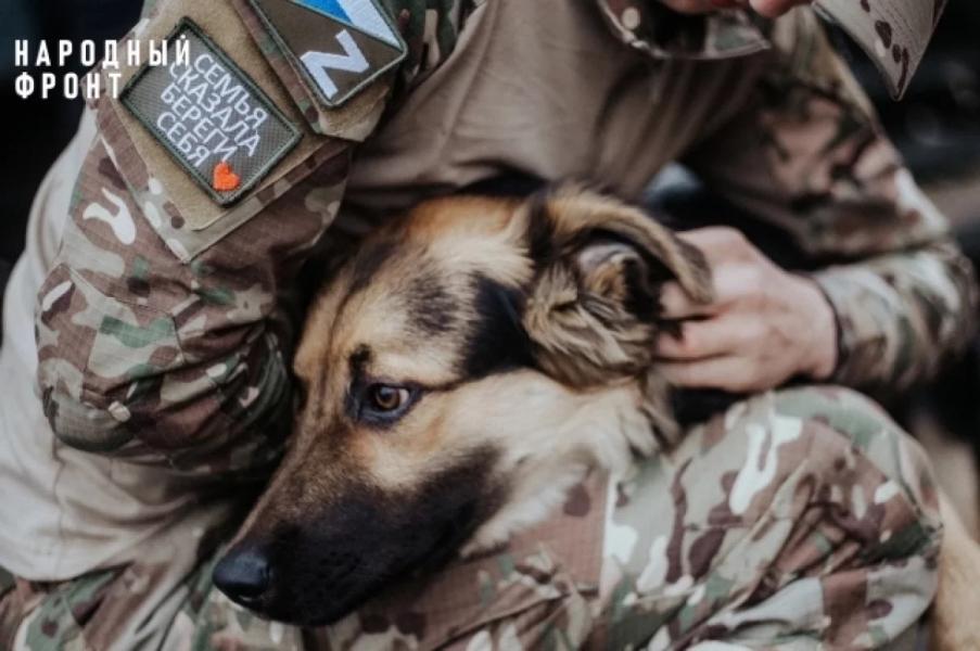 Волонтеры в Башкирии помогли бойцу привезти собаку из зоны СВО Волонтеры в Башкирии помогли бойцу привезти собаку из зоны СВО0