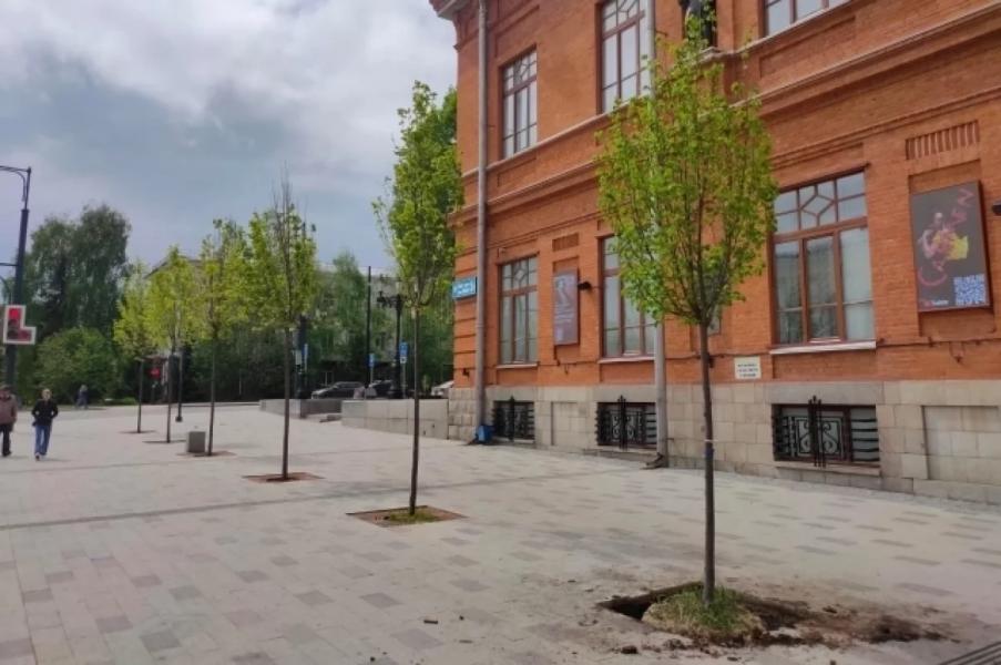 На высадку 203 лип в Уфе потратят более 18 млн рублей На высадку 203 лип в Уфе потратят более 18 млн рублей0