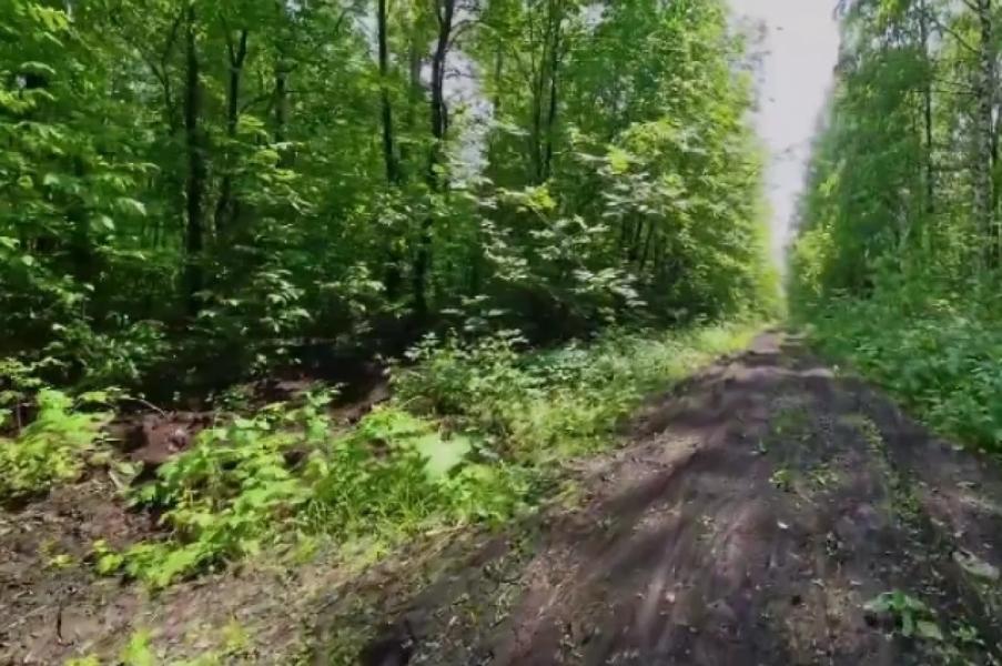 «Уфимское ожерелье» продлят до Цветов Башкирии «Уфимское ожерелье» продлят до Цветов Башкирии0