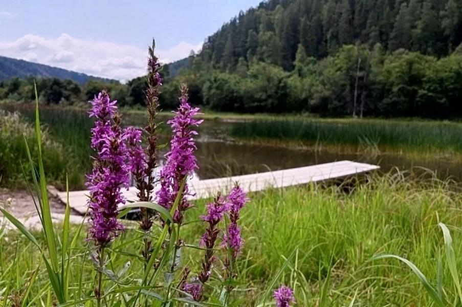 С 30 июля в Уфе на несколько дней прекратятся дожди С 30 июля в Уфе на несколько дней прекратятся дожди0