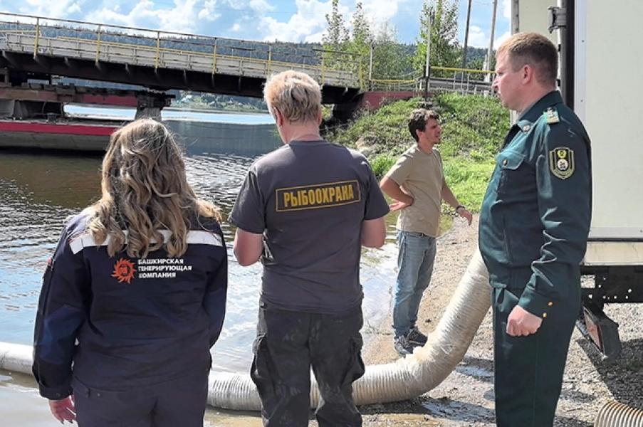 В Павловское водохранилище выпустили 30 тыс. мальков стерляди В Павловское водохранилище выпустили 30 тыс. мальков стерляди1