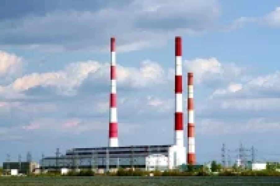 В Павловское водохранилище выпустили 30 тыс. мальков стерляди В Павловское водохранилище выпустили 30 тыс. мальков стерляди2