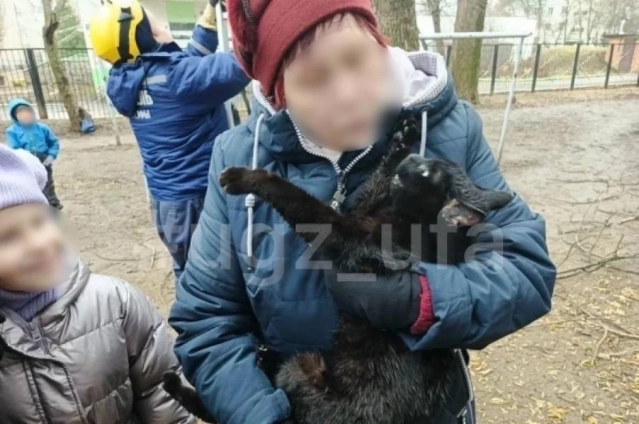 Спасатели Уфы рассказали о «воздушном приключении» бабушкиного кота Спасатели Уфы рассказали о «воздушном приключении» бабушкиного кота0